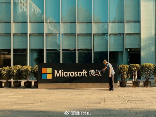 專業(yè)IT外包公司在微軟365部署與運(yùn)維中的優(yōu)勢